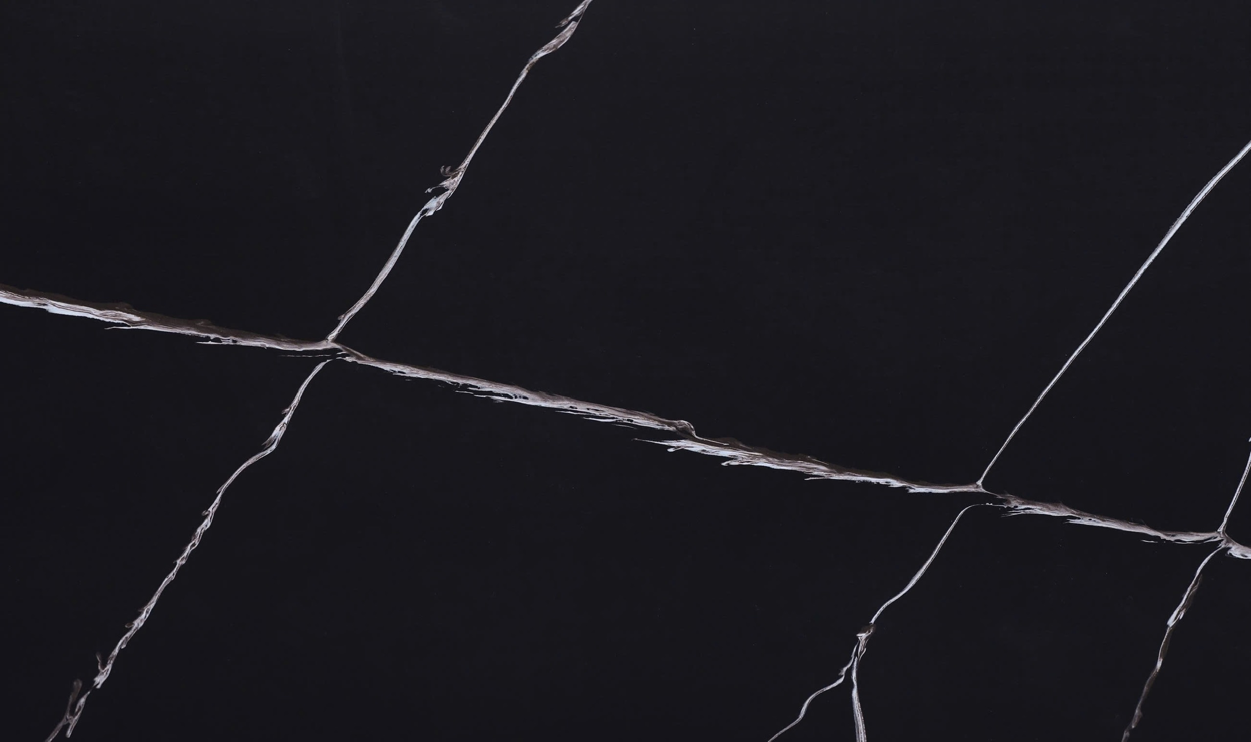 DATSTONE CC055 - CYGNUS CATTA